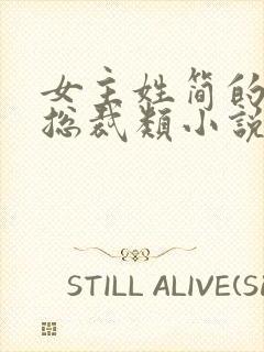 女主姓简的现代总裁类小说