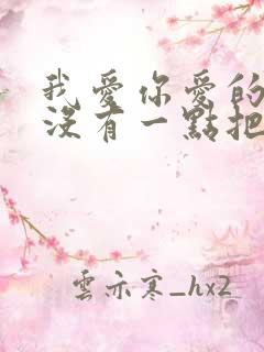 我爱你爱的真的没有一点把握是什么歌