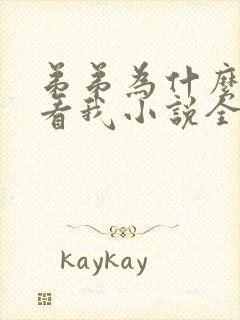 弟弟为什么这样看我小说全文