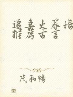 追妻火葬场小说推荐古言