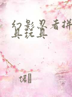 幻影忍者拼装玩具玩具