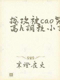 总攻被cao哭高h调教小说