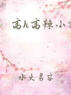 高h高辣小说网
