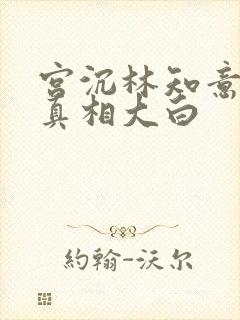 宫沉林知意后续真相大白