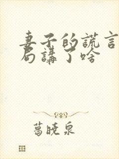 妻子的谎言大结局讲了啥