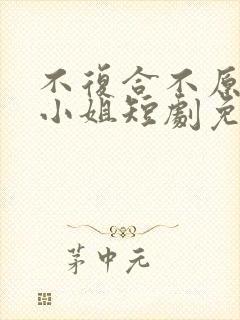 不复合不原谅苏小姐短剧免费观看