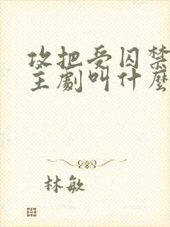 攻把受囚禁双男主剧叫什么名