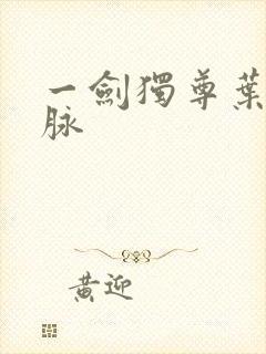 一剑独尊叶玄血脉