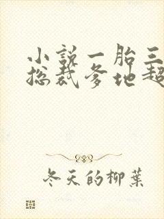 小说一胎三宝:总裁爹地超凶猛