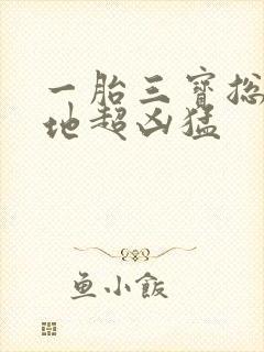 一胎三宝总裁爹地超凶猛