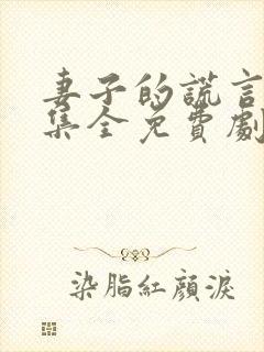 妻子的谎言54集全免费剧情介绍