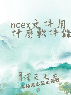 ncex文件用什么软件能打开
