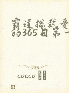 霸道总裁爱上我的365日第一季免费观看