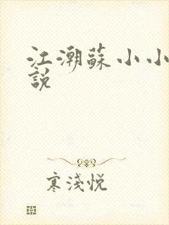 江潮苏小小的小说