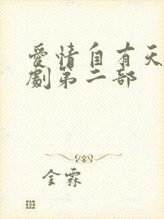 爱情自有天意短剧第二部