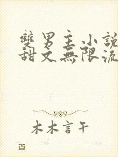 双男主小说推荐甜文无限流