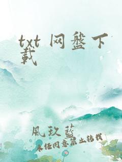 txt 网盘下载