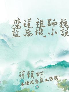 魔道祖师魏无羡蓝忘机小说无删减