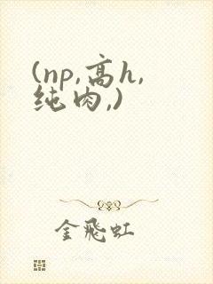 (np,高h,纯肉,)