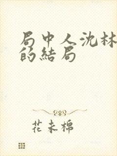 局中人沈林最后的结局