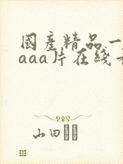 国产精品一级aaaa片在线看