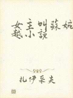 女主叫苏婉的穿越小说