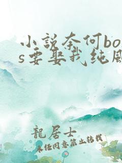 小说奈何boss要娶我纯风一度最新