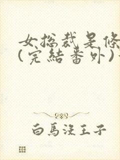 女总裁是条骚狗(完结番外)笔趣阁小说