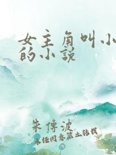 女主角叫小九儿的小说