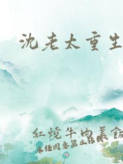 沈老太重生记