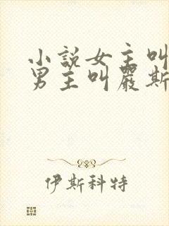 小说女主叫宋栀男主叫严斯年