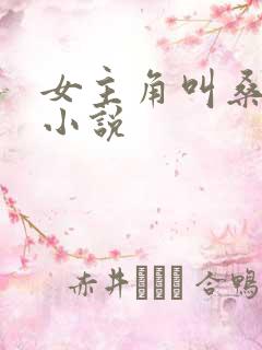 女主角叫桑宁的小说