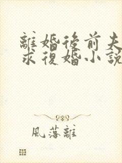 离婚后前夫哭着求复婚小说无弹窗