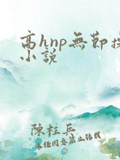 高hnp无节操小说