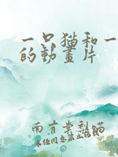 一只猫和一只狗的动画片