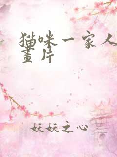 猫咪一家人的动画片