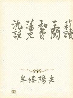 沈荡和王莉莉小说免费阅读