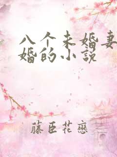 八个未婚妻来退婚的小说