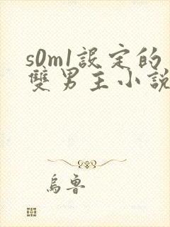 s0m1设定的双男主小说