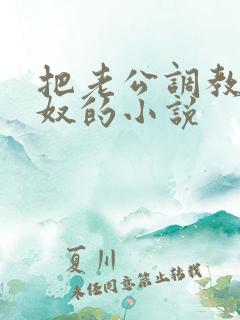 把老公调教成绿奴的小说