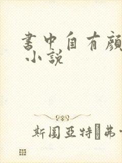 书中自有颜如聿 小说