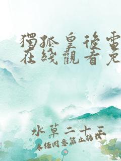 独孤皇后电视剧在线观看免费全集