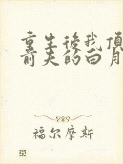 重生后我顶替了前夫的白月光免费阅读