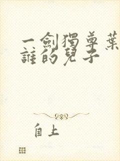 一剑独尊叶玄是谁的儿子