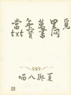 当年万里觅封侯txt宝书网