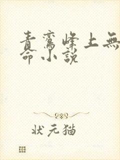 青鸾峰上无敌天命小说