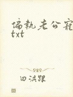 偏执老公宠上天txt