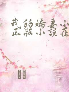 我的娇妻小欣儿正版小说在线阅读