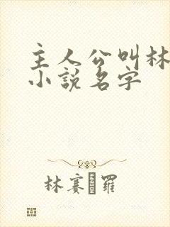 主人公叫林峰的小说名字