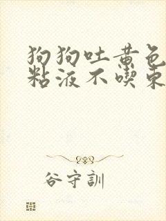 狗狗吐黄色泡沫粘液不吃东西怎么办